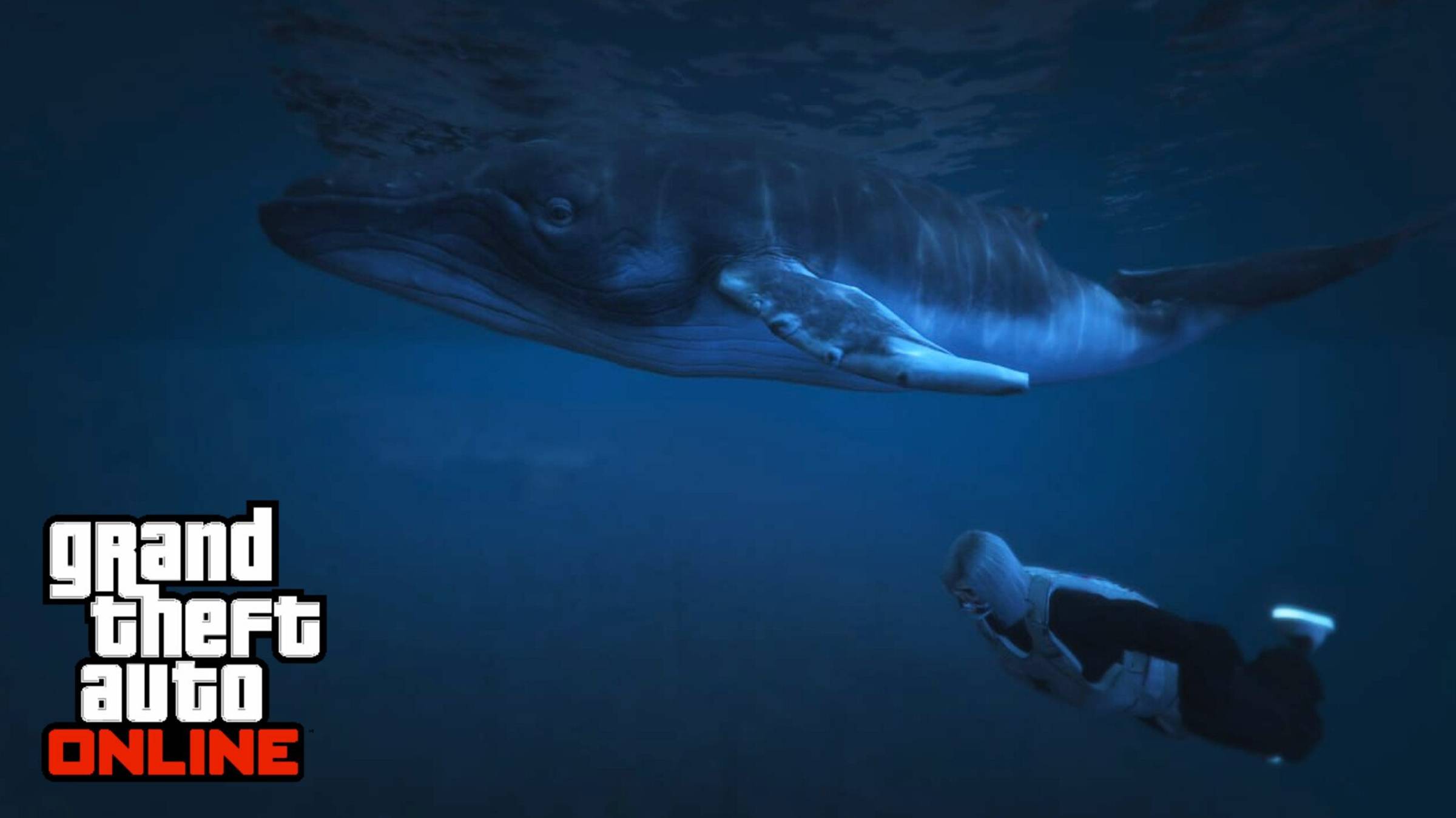 Я первый раз увидел кита в GTA Online смотреть онлайн