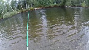 Летняя рыбалка на хариуса 4.07.2025. Ловим на р. Гоуджикит.