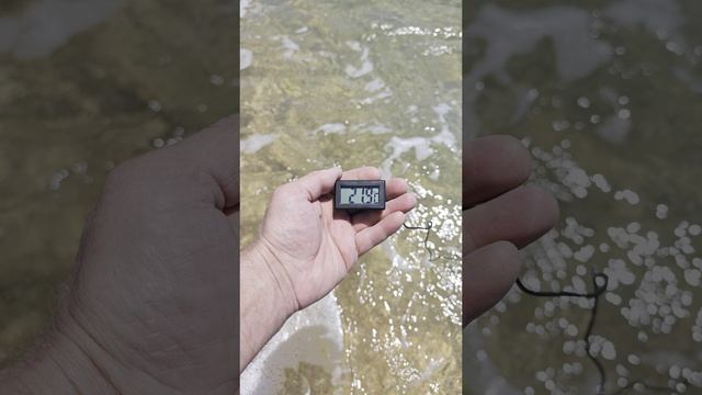 Чёрное море, температура воды 04.07.2025
#крым #море #яковенково смотреть онлайн