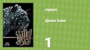 Дикая Азия 1 сезон 1 серия «В царстве рыжей обезьяны» (документальный сериал, 1998)