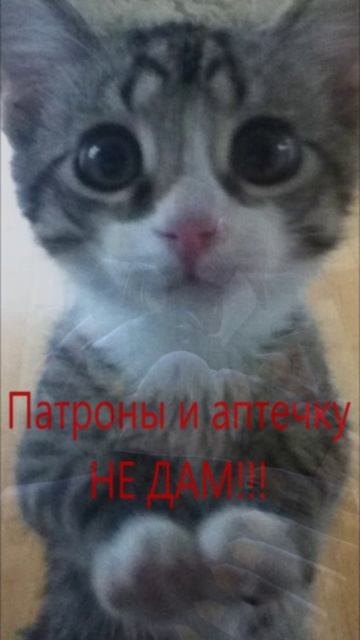 Team Fortress 2. Не дал патронов и аптечку #teamfortress2 #tf2 #tf2funny #tf2casual