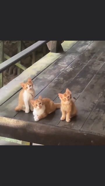 Нам надо серьёзно поговорить смотреть онлайн