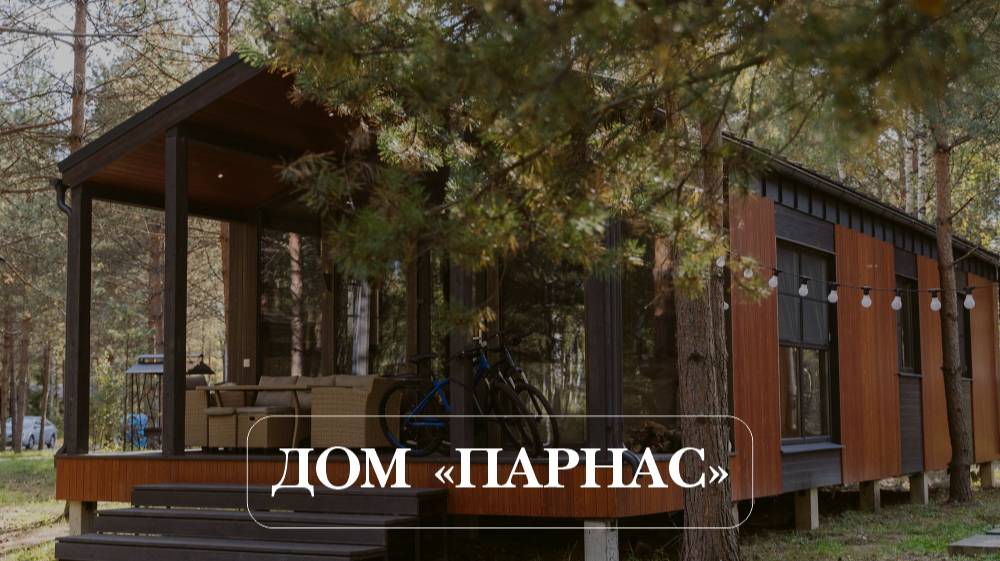 ДОМ ПАРНАС смотреть онлайн