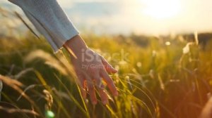 Яак Йоала ( Солнечные часы )