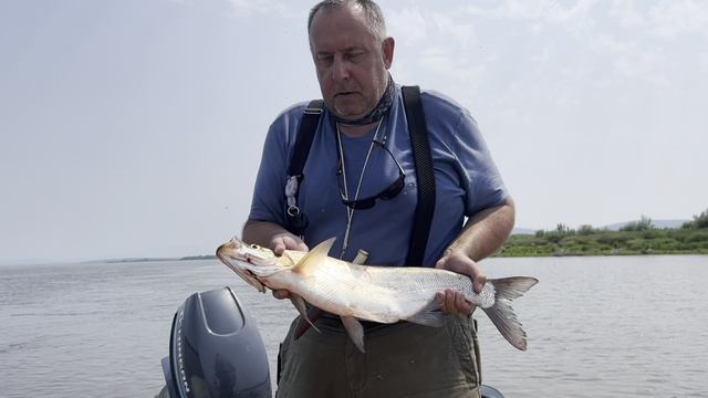 Верхогляд, редкая рыба Амура