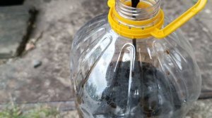 Замена масла Хавал Дарго