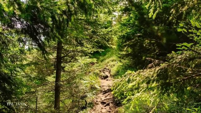 Мирная музыка, расслабляющая музыка, кельтская инструментальная музыка 🎻🍀 [Музыка без рекламы] смотреть онлайн