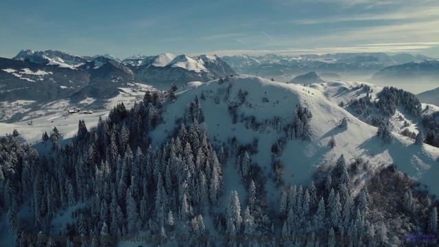 Это видео НЕ ДЛЯ СЛАБАКОВ! - Montevideo -- Duncan Reid And The Big Heads -- Live At Monty Hall, 6142