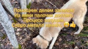 По всему лесу разбросано много металла.