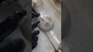 МК «ПОДСВЕЧНИК БЕЗ МОЛДА»