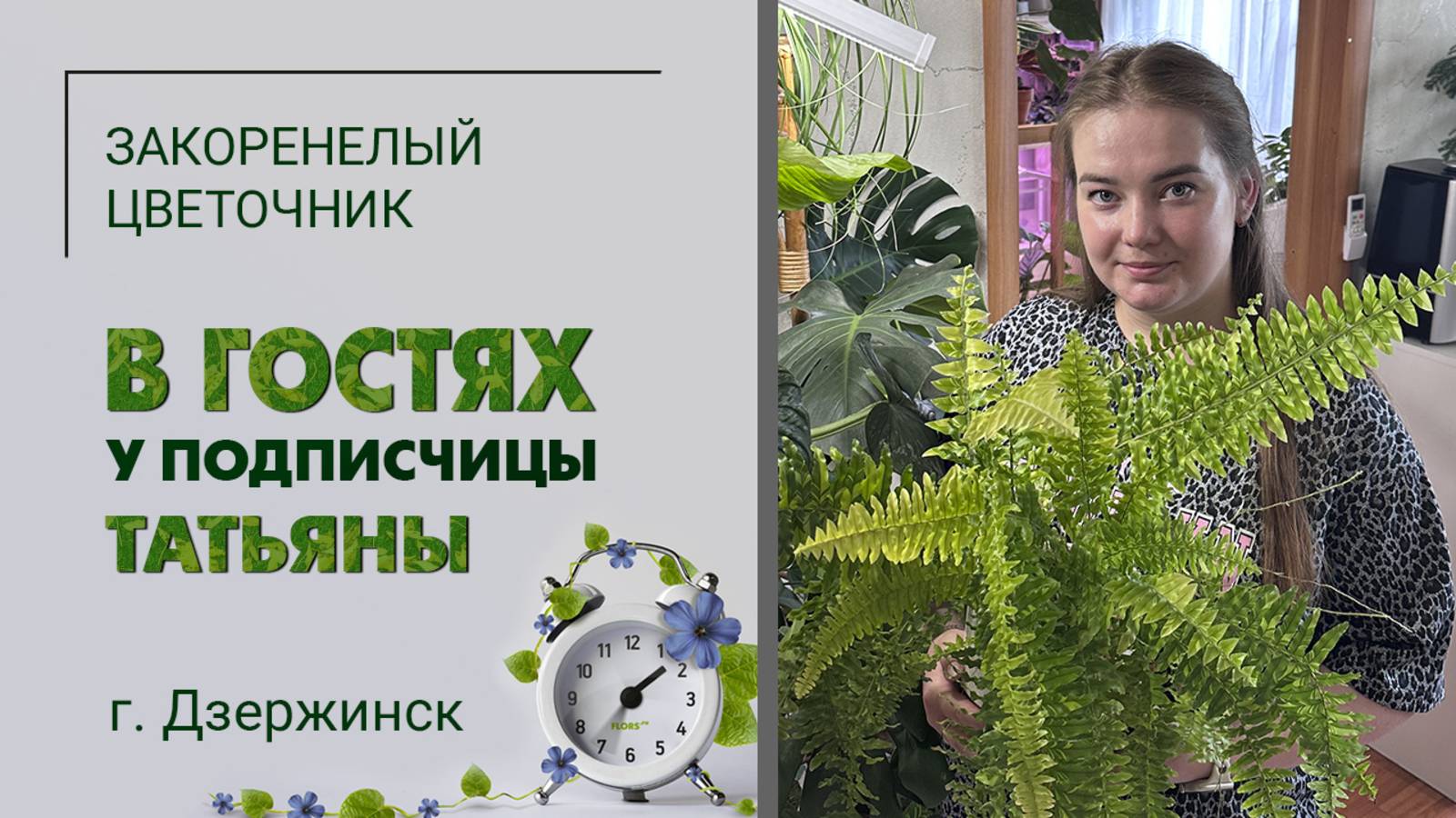 В гостях у Татьяны. гДзержинск Нижегородской области. Редкие папоротники, хойи, необычная коллекция.
