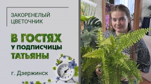 В гостях у Татьяны. гДзержинск Нижегородской области. Редкие папоротники, хойи, необычная коллекция.