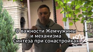 О важности Жемчужины и механизма Синтеза при сонастройках || Школа «ТоЧегоНет»