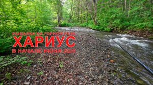 Рыбалка на горной реке в начале июня 2025