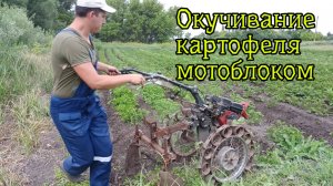 Окучивание картофеля мотоблоком на больших грунтозацепах