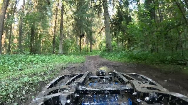 Traxxas X-maxx Vitavon Crash