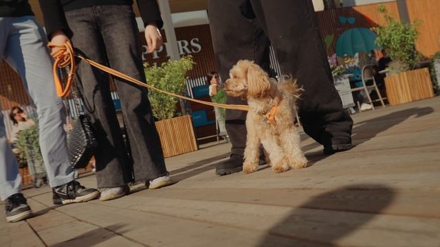 отчёт из Санкт-Петербурга смотреть онлайн