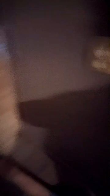 ой ой ой борщара котяра в реальном жизни