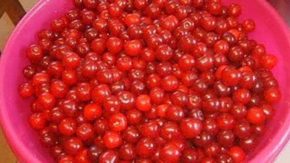 Вишня. Маринкины творинки. Всем МИРА и Добра! смотреть онлайн