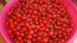 Вишня. Маринкины творинки. Всем МИРА и Добра!