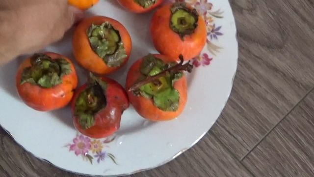 растёт ли хурма в краснодаре хурма в краснодарском крае хурма мимоза лазаревское