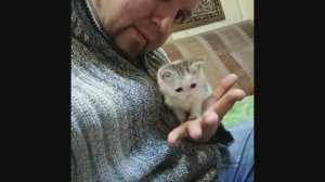 Новогодний Ore Last Nigtn-Blank Spase(Taylor Swift cover)