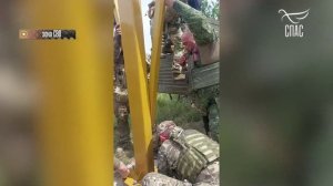 Молитва перед боем: как вера укрепляет воинов казачьего подразделения