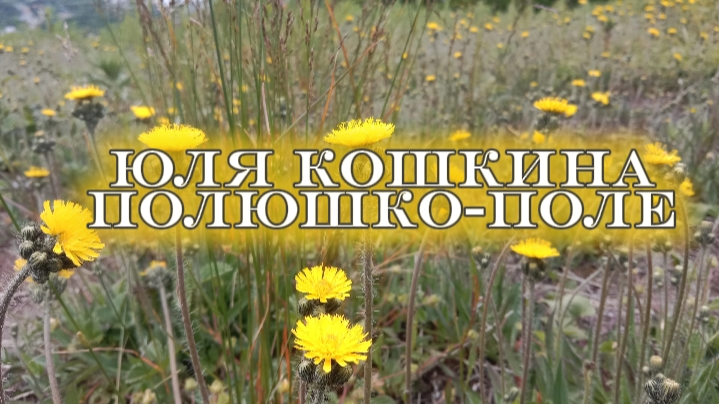 Юля Кошкина - Полюшко-поле смотреть онлайн