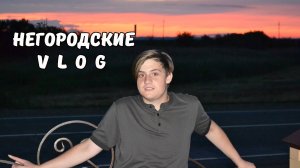 Щенки. Весёлый выпускной Ильи. 29.06.25