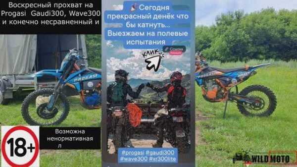 Воскресный прохват с WILDMOTO