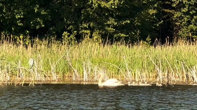 Озеро Увильды//
