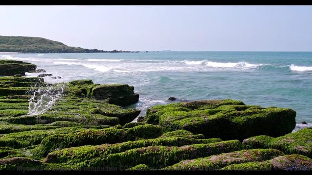 Поля колышутся в ритме! - Strategy -- Scott Holmes Music -- Corporate + Motivational Background Musi