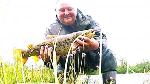 На ПЕРВОМ забросе взяла ШИКАРНАЯ рыба! Эмоции через край! КУМЖА на удочку.