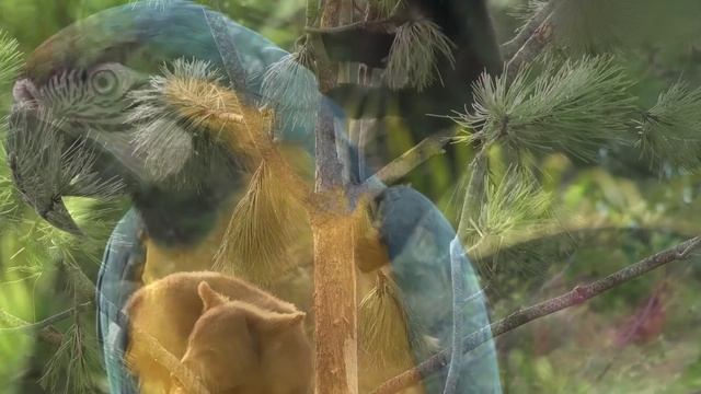 Вместе! - TOGETHER смотреть онлайн