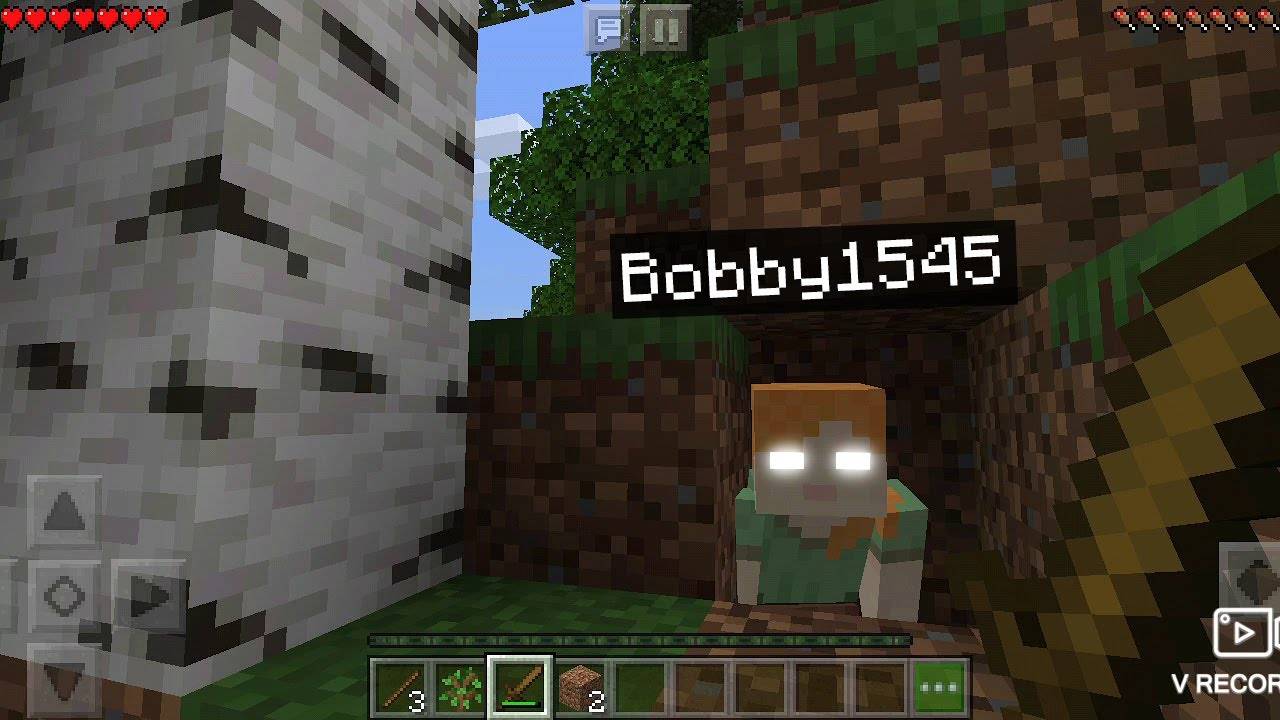 БОББИ1545 СУЩЕСТВУЕТ??!!! (без модов) ПУГАЮ ШКОЛЬНИКОВ СКИНОМ Bobby1545! смотреть онлайн