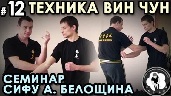 Защитные блоки Вин Чун: семинар Сифу Анатолия Белощина  – 12.