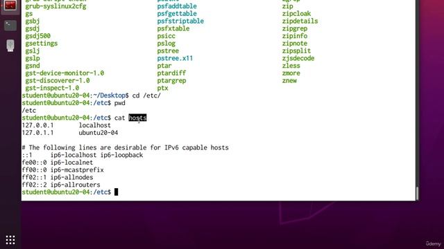 003 Absolute vs. Relative Paths. Walking through the File System (pwd, cd, tree) смотреть онлайн