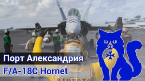 Что такое реалистичный симулятор? (DCS World) - F/A-18C Hornet