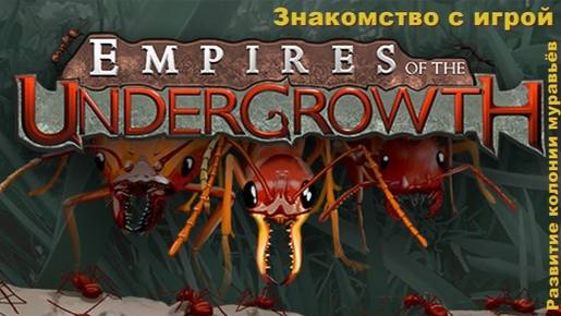 Empires Of The Undergrowth №3