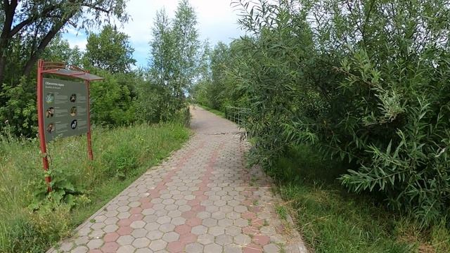 пешком по омску и птичья гавань смотреть онлайн