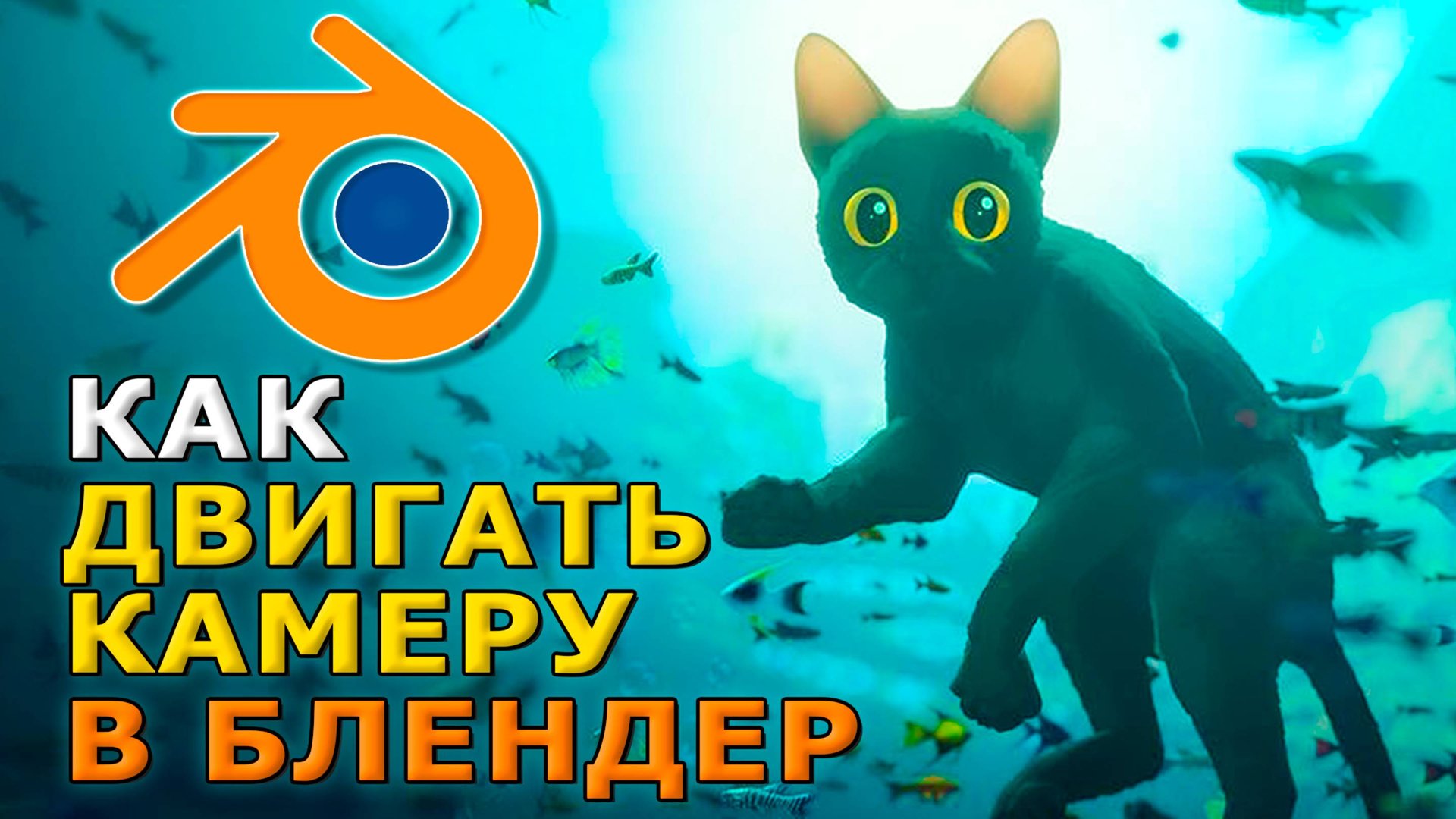 Как двигать камеру в блендере смотреть онлайн