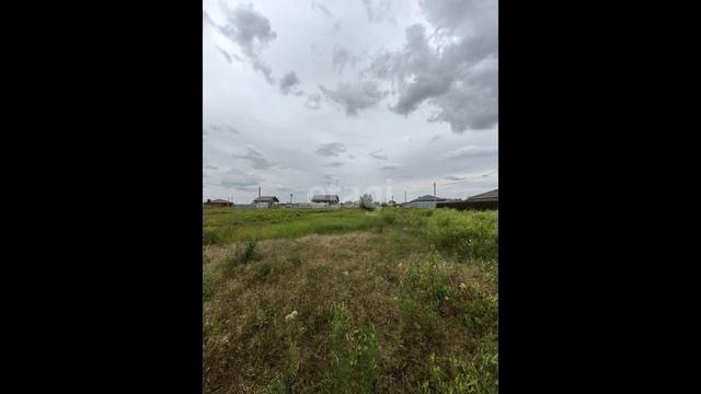 2424614 смотреть онлайн