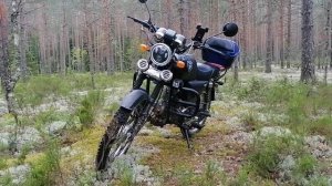 Альфа пегас