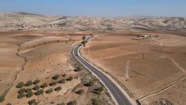 Olivetheboy - ASYLUM смотреть онлайн