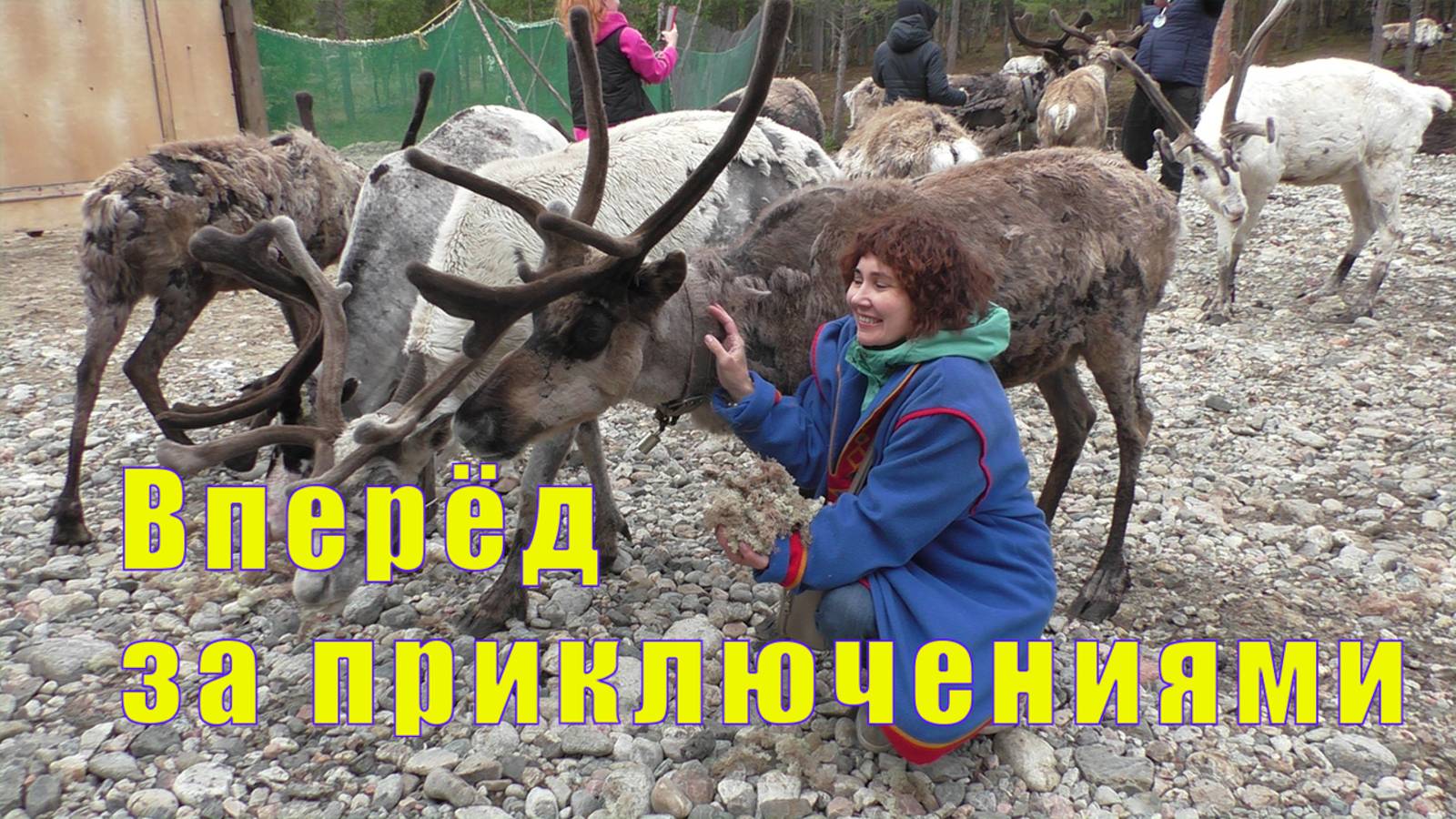 ВПЕРЕД ЗА ПРИКЛЮЧЕНИЯМИ В СААМСКУЮ ДЕРЕВНЮ САМЬ СЫЙТ /24 июня 2025 смотреть онлайн