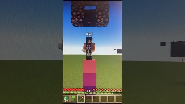 Minecraft,но это угадай персонажа!