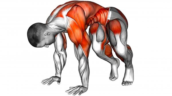 Как стать сильнее | Никакого спортзала