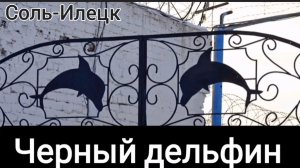 Соль-Илецк. Территория монстров "Черный дельфин“ 🐬 Магазин сувениров .