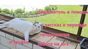 Переезд из Сибири на юг. Купили дом на юге. Наслаждаемся южной жизнью. 💖