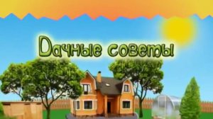 Дачные советы Галины Старосельцевой Июля 03-2025